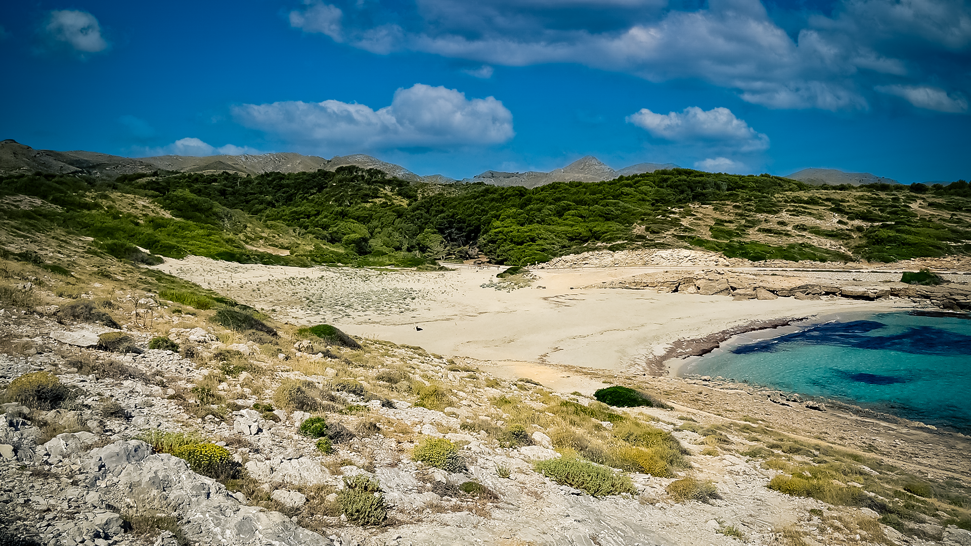 Cala Mitjana