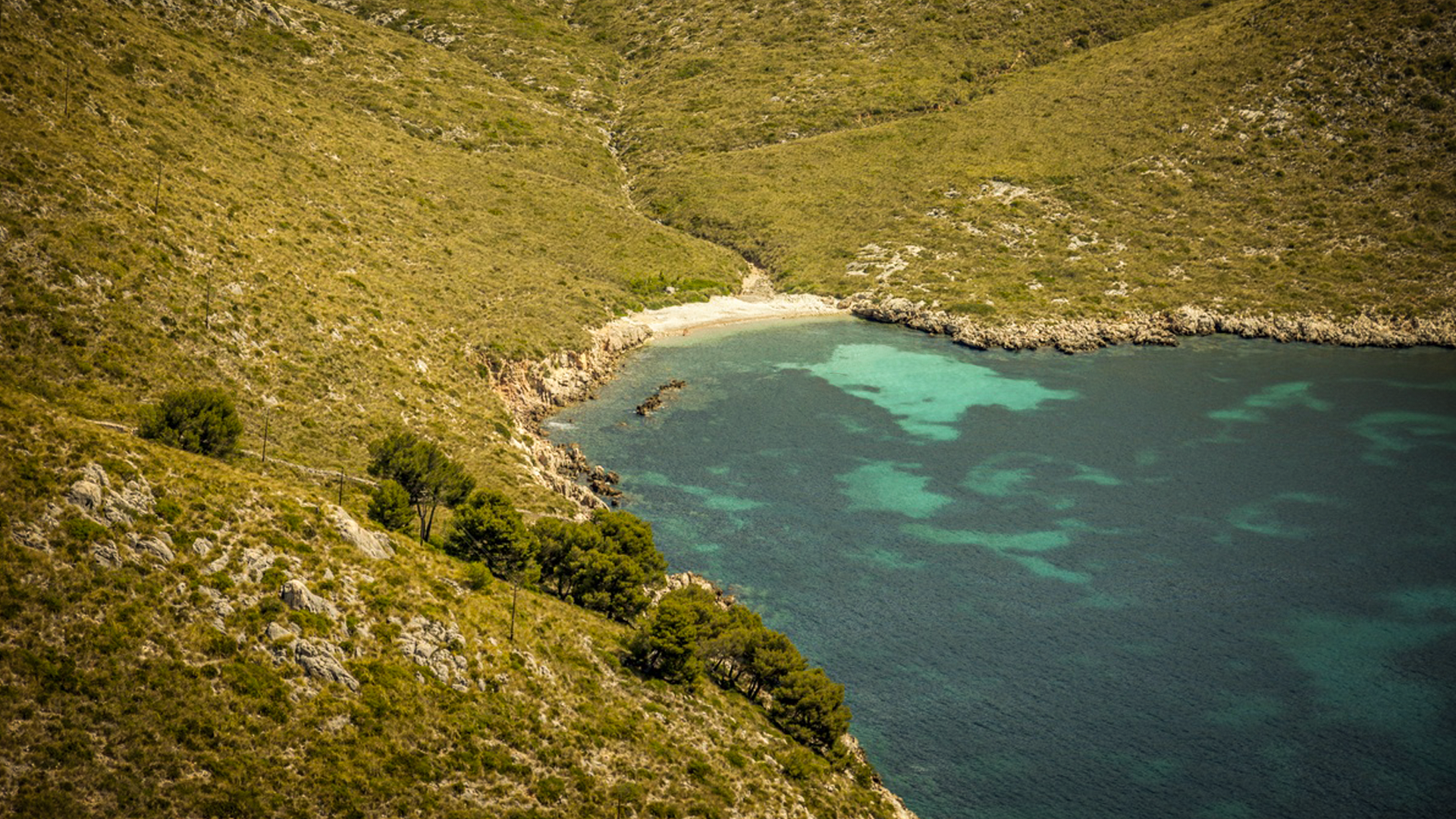 El Caló
